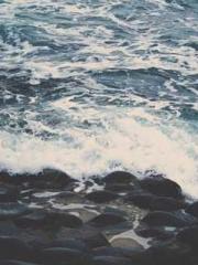 The Apothecaryapos;s