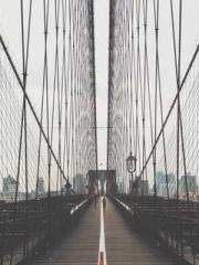 Grave Robbing: Openi