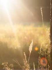 The Heavenly Physici