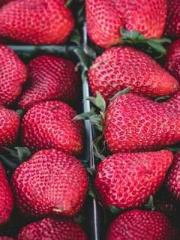 Become a big shot in