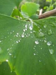 Becoming a Farm Girl