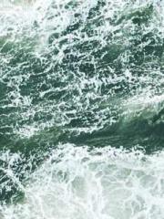 The Heavenly Physici