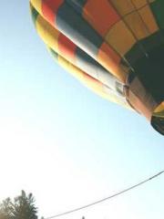 Professor Yan is goi