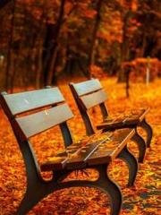 lt;lt;lt;lt;Good-loo