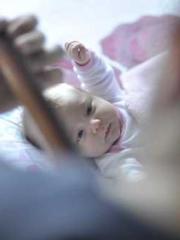 Transmigration: Feel