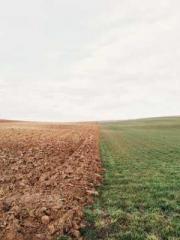 The Heavenly Physici