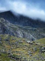 Become a big shot in