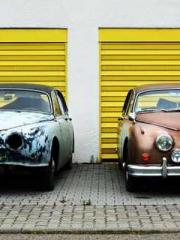 The young masterapos