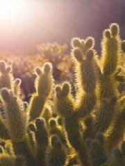 lt;lt;The Heavenly D