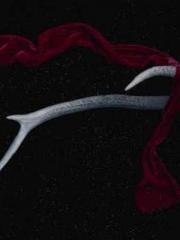 A Lifetime of Captiv