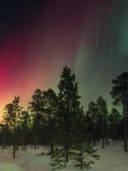 Transmigration: Feel