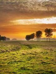 Yellow Spring Expres