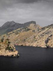 The Apothecaryapos;s